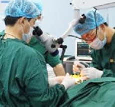 ɸǰ���������