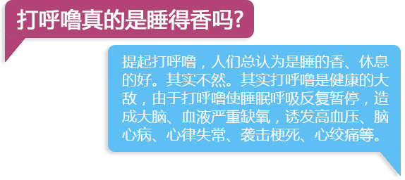 ����������˯������